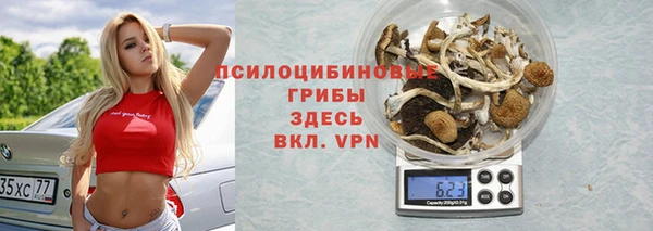 хмурый Пересвет