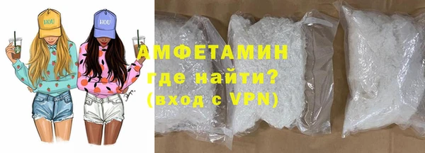 хмурый Пересвет