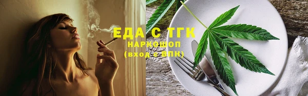 хмурый Пересвет
