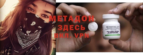 хмурый Пересвет