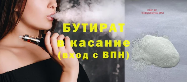 хмурый Пересвет