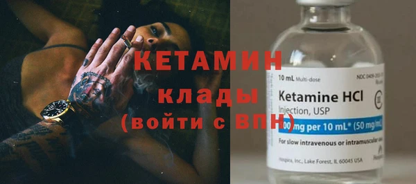 хмурый Пересвет