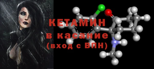 хмурый Пересвет
