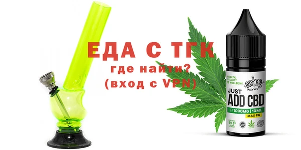 хмурый Пересвет