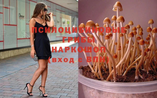 скорость Пестово