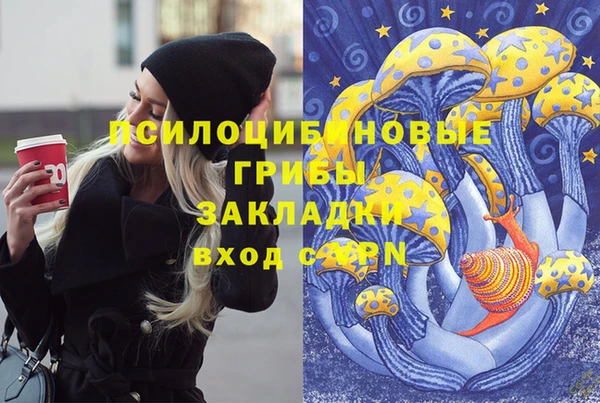 скорость Пестово