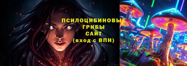 хмурый Пересвет