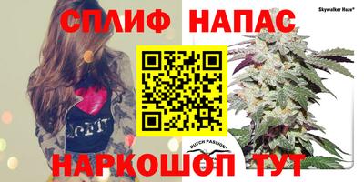 СК Абакан