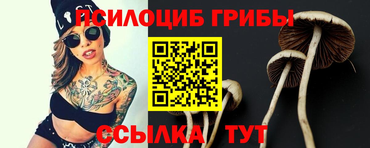 Псилоцибиновые грибы Cubensis Анжеро-Судженск